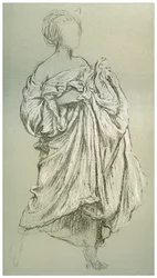 Tutkimus Daphnephoriasta, 1880-1882