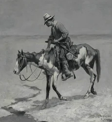 Teksasin poni