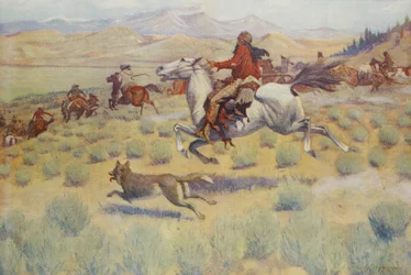 Hunting on the Prairie, Colliers Weekly, pub.1904