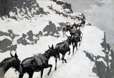 Mule Pack