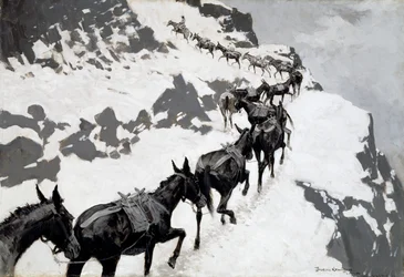 Mule Pack