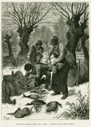 Pyydä ankat verkkoon. Lixin kaiverrus havainnollistamaan tarinaa A Through Alsacen ja Lorraine, vuonna 1887, Charles Grad, saksalainen edustaja, tour du monde 1888, ohjaaja Edouard Charton (1807-1890), Hachette, Paris.