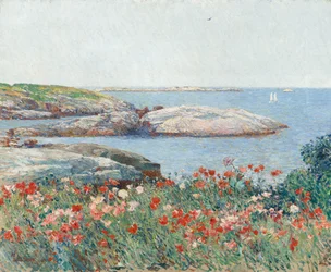Poppies, Isles of Shoals, 1891.