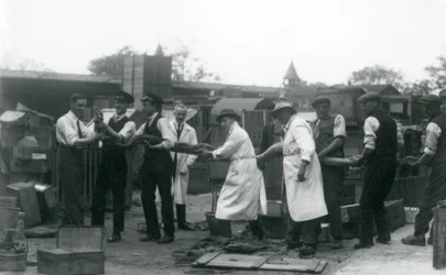 20 jalkaa pitkä Python, jota kantoi yksitoista Zoological Societyn henkilökunnan jäsentä, Lontoon eläintarha, kesäkuu 1925