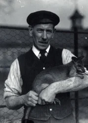 Vartija pitää hallabyä, lokakuu 1920 (m/v kuva)