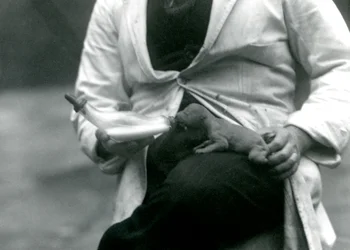 Vastasyntynyt leijonanpentu, jota sen pitäjä, Lontoon eläintarha, ruokkii pullosta, 1923