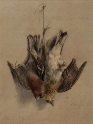 Asetelma, Larks