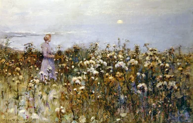 Kesäaurinko