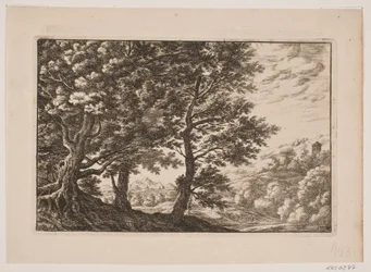 Vuoristoinen maisema suurilla puilla