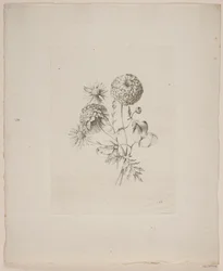 Kukka-aihe