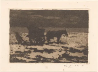 äyriäisten kalastaja