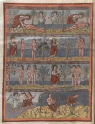 Lisätä. 10546, f.5v Aadamin ja Eevan luominen (vellum)