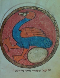 Lisää 11639 f.517v Fantastinen lintu munalla, pohjoisranskalaisesta Miscellanysta, n. 1280 (vellum)