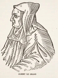 Albert Suuri