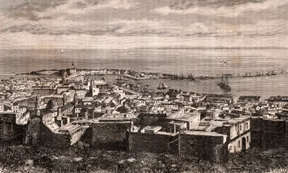 Alger - Alger - Algerie - kaiverrus "La France illustree: maantiede, historia, hallintotilastot" V.A. Maltaanruskea. 1884