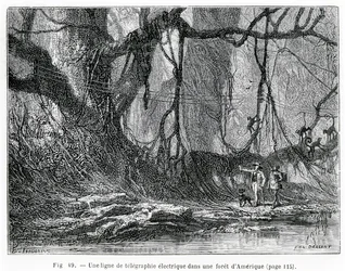 Sähköinen lennätinlinja amerikkalaisessa metsässä, n. 1870 (kaiverrus)