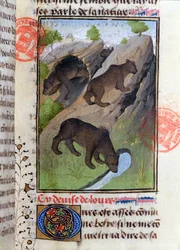 Karhut, Gaston Phebusin Livre de la Chassesta