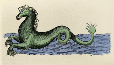 Cheval marin elokuvassa ""The Aquatilibus""