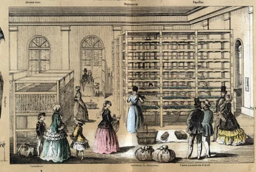 Kulttuuri- ja silkkituotteiden kuvaus: keskellä magneeria seriviljelyn eri vaiheilla. Levy "" la soie"" in "" les Recreations instructives"" Jules DELBRUCKin synoptinen maalaus, kaiverrus vuodelta 1860. Yksityinen kokoelma.