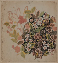 Suunnitelmapiirustus, 1700-luvun alku