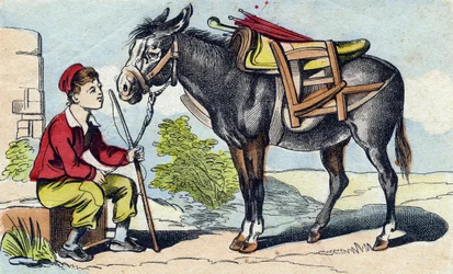 Aasi. Kaiverrus "Buffon Alphabet des Animaux". 3. sarja N 1. Epinal, Epinal, 1800-luvun loppu. Kuvaus. 16 sivua. Mitat: 28x21cm