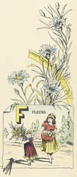 F: kukkia
