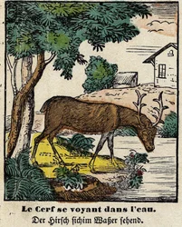 Fables de La Fontaine: peura näkemässä itsensä vedessä. Kuva Epinalista, 1800-luvun ensimmäinen puolisko