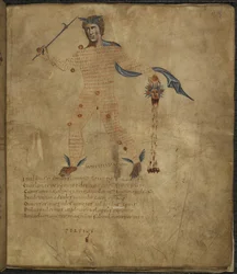 Harley 647, f.4 Kuva Perseuksesta, kreikkalaisen mytologian sankarista, käärmekarvaisen Medusan pään kanssa, tekstillä tai scholialla tähtikuvion sisällä, "Aratus", kirjoittanut Marcus Tullius Cicero (vellum)