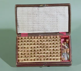 Homeopaattisten lääkkeiden matkalaukku, 1800-luvun toinen puoli
