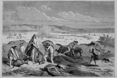 Guanakon (villi lama) ja nandoun (tai patagonian strutsi) metsästys Argentiinassa - Tour du Mondessa, 2. viikko 1861