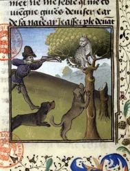 Metsästyskohtaus ilveksen kanssa - kirjassa "Metsästyskirja Gaston Phoebus, Foixin kreivi, Béarnin lordi""