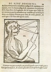 Kuvitus Rene Descartesin (1596-1650) De Homine Figuris -julkaisusta, julkaistu Haagissa, 1662