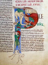 Initial P (lettrine): hiivapiru helvetin suussa. Miniatyyri Saint Gregoiren käsikirjoituksesta "Moralia in Job", Morales sur Job, Citeaux