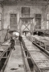 1800-luvun kalanviljelylaitoksen sisustus Huninguessa Ranskassa, Les Merveilles de la Science, julkaistu n. 1870 (kaiverrus)