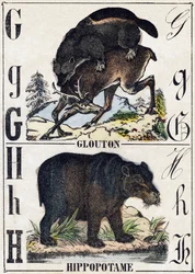 G-kirjain Ahmatti; H Virtahepo. Kaiverrus "" Alphabet des animaux sauvages"". 9. sarja. Kuvia Epinalista, Pellerin, paino-kustantaja, noin 1870. Kaiverrukset puuhun, stenciloitu. 16 sivua. Mitat: 20 x 15 cm. Yksityinen kokoelma