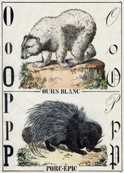 Kirjain O karhu; P Pork-eepos (Pig eepos). Kaiverrus "" Alphabet des animaux sauvages"". 9. sarja. Kuvia Epinalista, Pellerin, paino-kustantaja, noin 1870. Kaiverrukset puuhun, stenciloitu. 16 sivua. Mitat: 20 x 15 cm. Yksityinen kokoelma