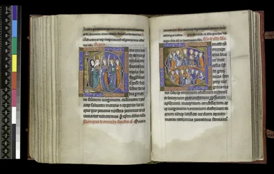 MS 300 f.207v-208r, Äänioikeus neitsyille ja äänioikeus kaikille pyhimyksille, Ranskan Isabellan psalteri ja Hours, Pariisi, n. 1265-1270 (kynä ja muste ja tempera pergamentilla)