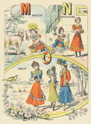 M N O: lammas, välttämätön, lintu