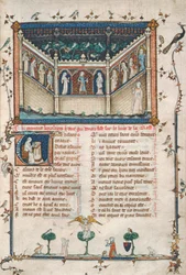Ms 101 fol.5 Ruusun romanssi