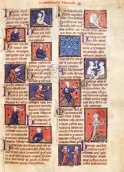 Ms 320 Fol.45r Monsters, Thomas van Cantimpren (1201-72) De Natura rerum -teoksesta (vellum)