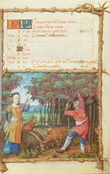 Ms 438 Marraskuu: Tammmenterhojen kerääminen, tuntikirjasta, 1490