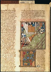 Ms 622 fol.221v Brunhildan kidutus, Des Hommes Illustres, n. 1460