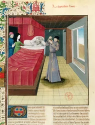 Ms Fr 9140 fol.120v Lääkäri, joka suorittaa virtsan analyysin, Livre des Proprietes des Choses, Barthelemy lAnglais, 1480