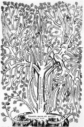 Organigrammi, joka esittää hallinnon organisaatiota Ranskassa 1500-luvulla, 1579