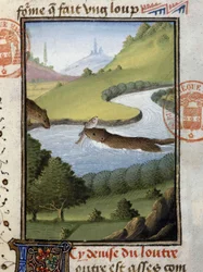 Saukko - "" Metsästyskirjassa Gaston Phoebus, Foixin kreivi, Lord of Béarn""