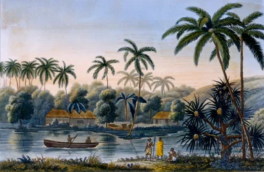 Osa Matavaen kylää, kookospalmuja ja muita hedelmiä, Tahiti, Luutnantti Louis Isodore Duperreyn julkaisusta Voyage around the World on Corvette Coquille, julkaistu 1826