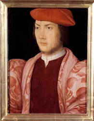 Chatillonin kardinaalin Odet de Colignyn muotokuva vuonna 1534 (ranskalaisen Marechalin Gaspard de Colignyn nivuspoika ja amiraali Gaspard de Colignyn veli) (1517-1571) noin 1535 1500-luvun ranskalaisen koulukunnan maalaus. Himmeä. 0,32x0,23m. Versaille