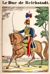 Reichstadtin herttuan Napoleon II:n, keisari Napoleon I:n pojan (1769-1821) muotokuva. Kuva Epinalista