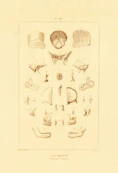 Luuranko, 1833-39