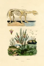 Laiskuus, 1833-39